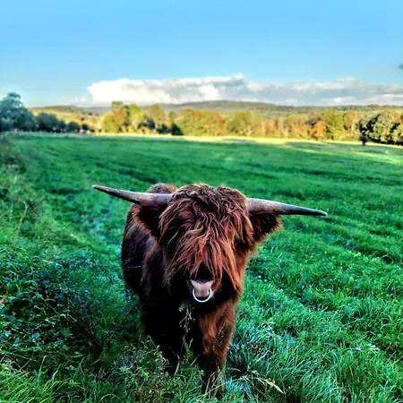 Casa Buchenweg 公寓 肖顿