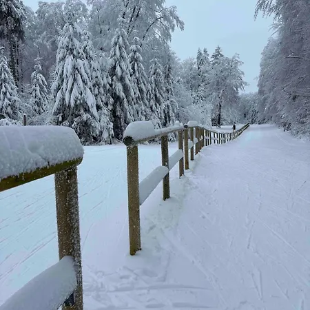 Casa Buchenweg 公寓 *