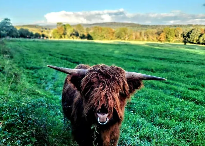 Casa Buchenweg Apartamento Schotten