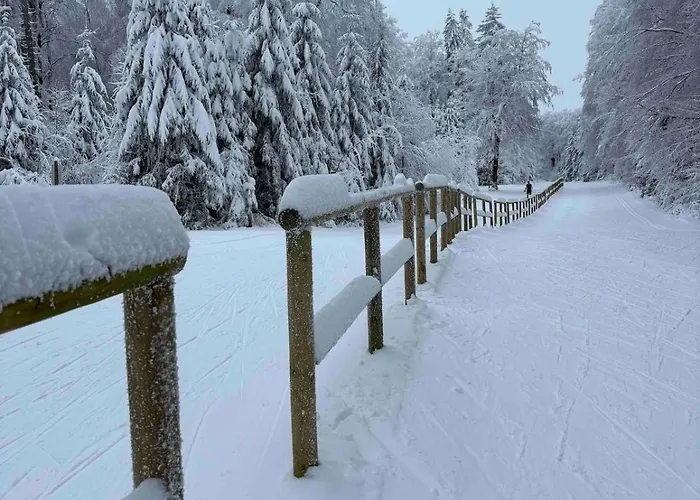 Casa Buchenweg Apartamento *