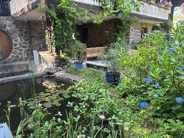 Casa Buchenweg Schotten